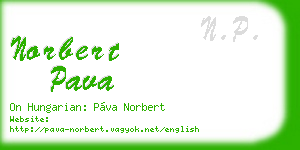 norbert pava business card