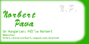 norbert pava business card